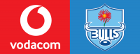 EW Serfontein & Associates Inc. Client Logo - BlueBulls Rugby